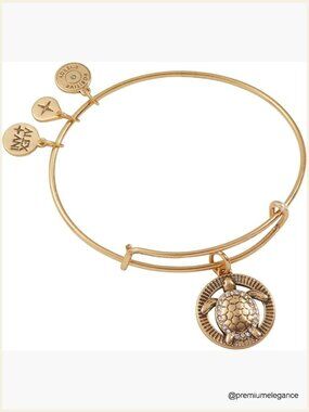 Turtle Charm Bangle Bracelet Expandable Adjustable